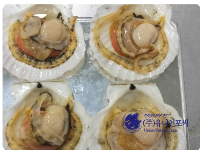 ce93720aef368700ec18b6ad586f7e13_1677813814_6857.jpg ce93720aef368700ec18b6ad586f7e13_1677813814_6857.jpg